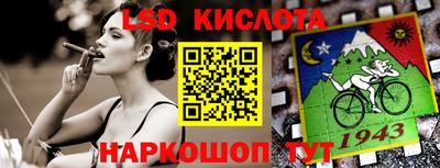 шишки Кандалакша