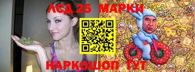 МДПВ Канаш
