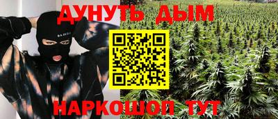 шишки Кандалакша