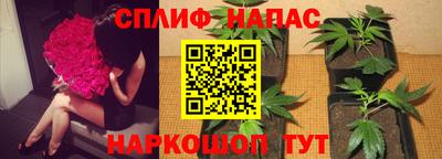 прущая мука Камышлов