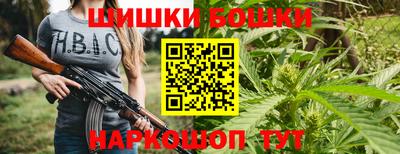 МДПВ Канаш