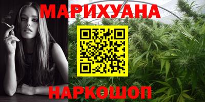 шишки Кандалакша