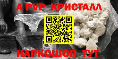 шишки Кандалакша