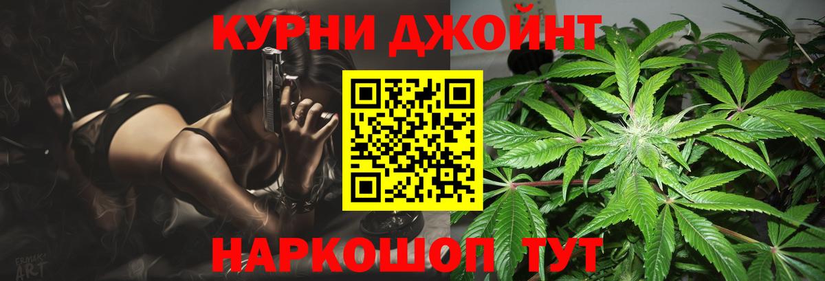 Канабис сатива Куйбышев